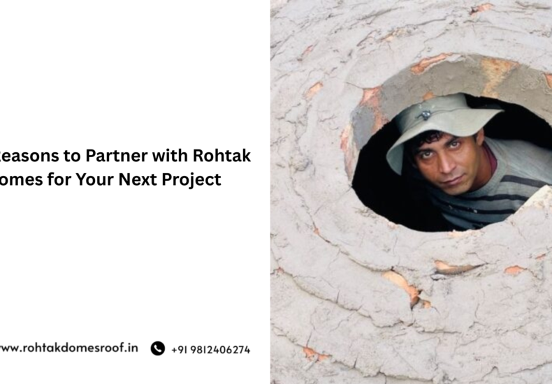 Top Reasons to Partner with Rohtak Domes for Your Next Project